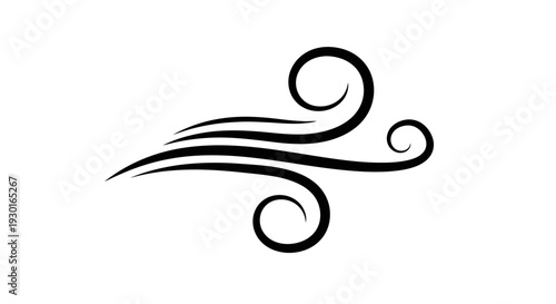 Elegant Swirls Decorative Element