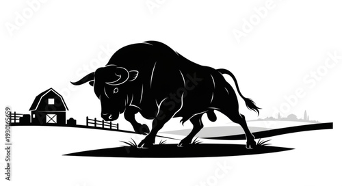 Black Bull Charging on Farm.