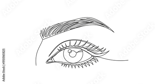 Minimalist Line Art Drawing of a Woman's Eye with Eyelashes and Eyebrow