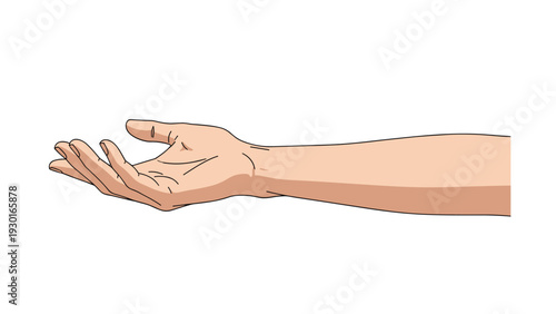 Realistic illustration of a human hand and arm with the palm open and facing upward in a gesture of receiving or giving.