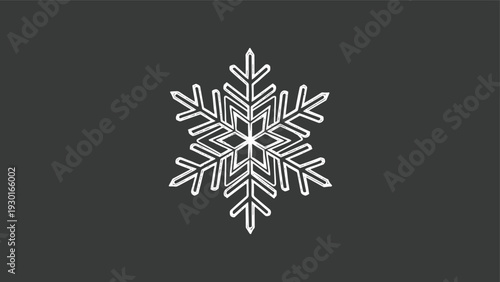 Ornate white snowflake with intricate crystalline branches and patterns centered on a solid dark gray background.