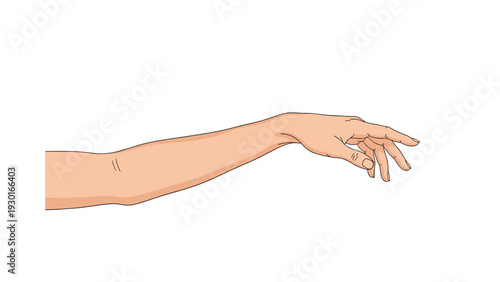 Human arm and hand in a graceful and relaxed drooping pose isolated on a white background for artistic reference, beauty, and grace.