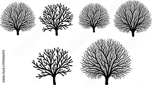 Set of leafless tree silhouettes isolated on white background detailed woodland vector collection
