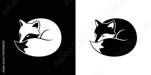 Curled fox illustration on contrasting backgrounds depicted in minimalist style