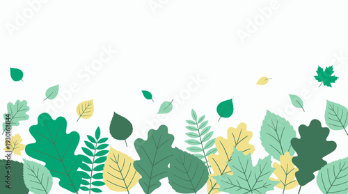 Green and yellow forest leaves border composition arranged on a clean white background, concept for ecological branding, seasonal banner background and environmental graphic design