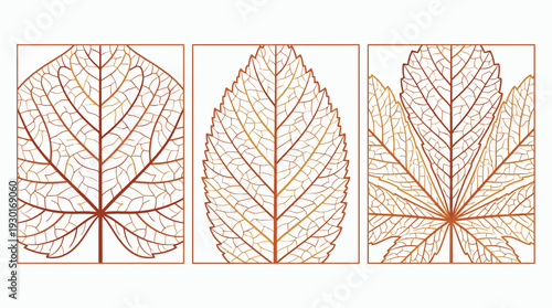 Minimalist triptych set of brown leaf skeleton patterns with intricate vein details on white background, concept for wall art decor, laser cut template and botanical background