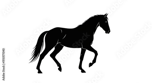 Black Horse Silhouette Running Freely.