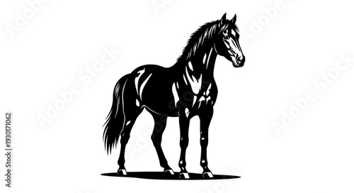 Black Horse Silhouette Standing Alone.