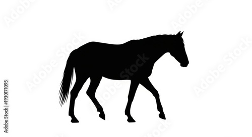 Black Horse Silhouette Walking Profile.
