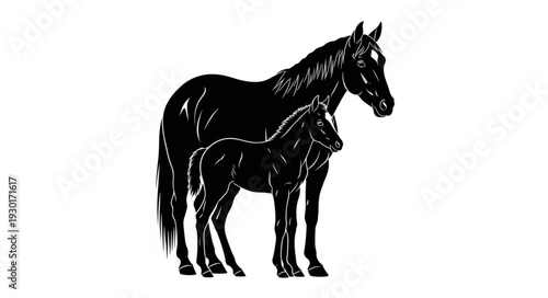 Black Horse and Foal Standing.