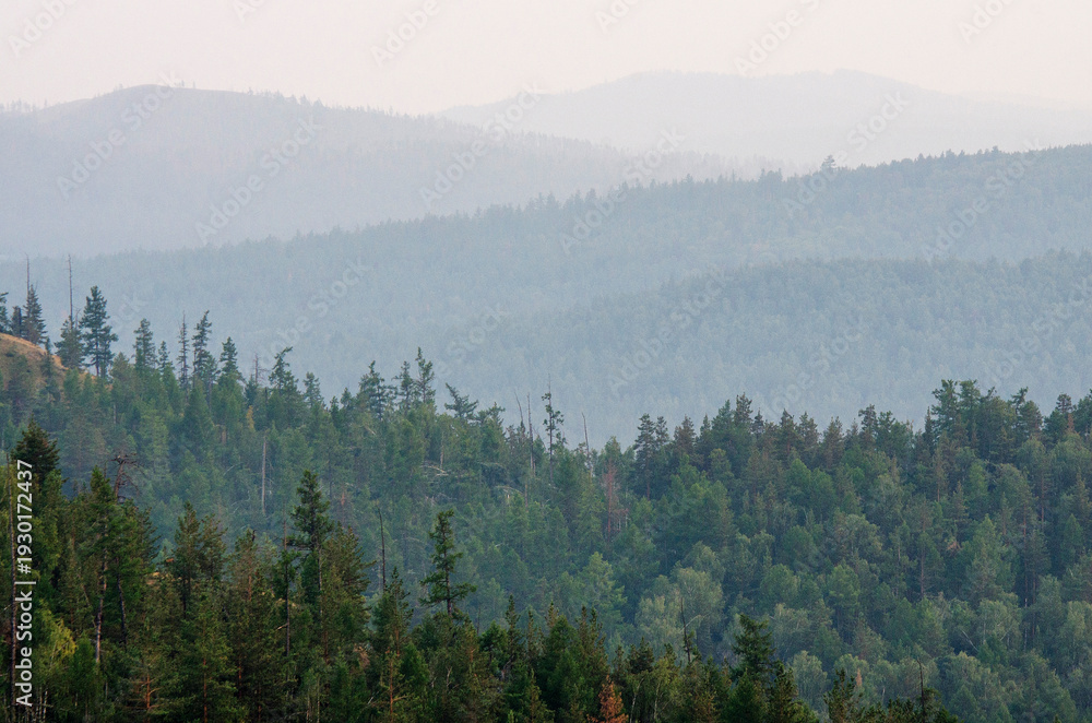 Naklejka premium Southern Urals in summer, Bashkortostan: mountain taiga in a haze.