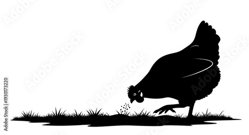 Black Silhouette Chicken Foraging Ground.