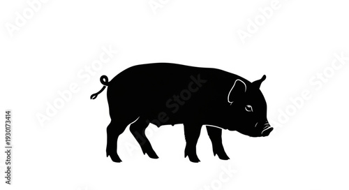 Black Pig Silhouette Walking.