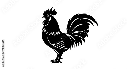 Black Rooster Silhouette Standing Proud.