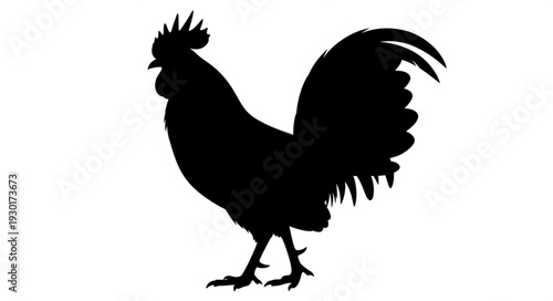 Black Rooster Silhouette Standing Proudly.