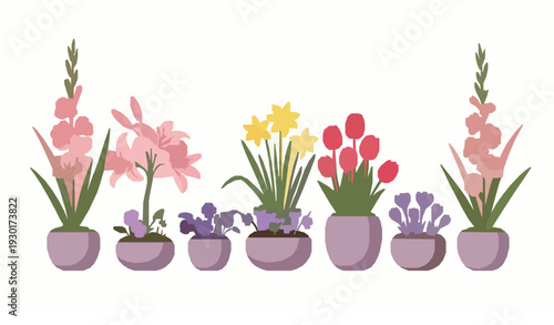 Spring Flower Pots Banner Vector with Crocuses Tulips and Lilies