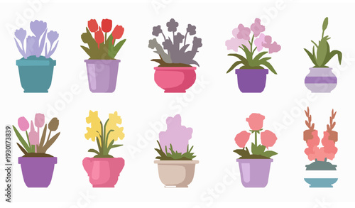 Colorful Flower Pots Vector Set with Tulips Roses Orchids and Spring Blooms