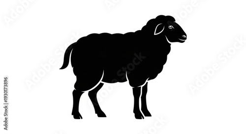 Black Sheep Silhouette Standing Alone.