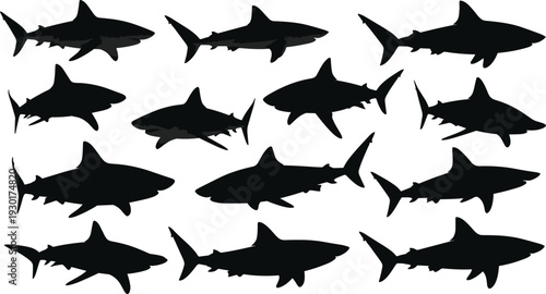 Shark silhouette set in various swimming poses isolated on white background vector collection