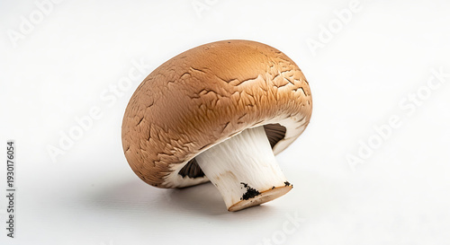 Brown Mushroom Isolated on White Background, Fresh Organic Food Ingredient