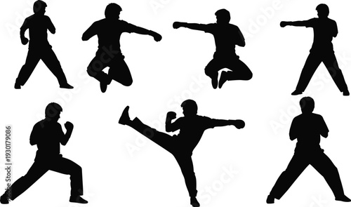 Martial arts silhouettes, dynamic poses, karate, taekwondo, kung fu, self defense training, combat stances, high kicks, punching action, fitness
