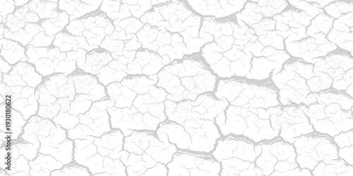Abstract White Cracked Earth Texture with Grey Shading, Simulating Dry Ground or Peeling Paint for Weathered and Distressed Backgrounds.