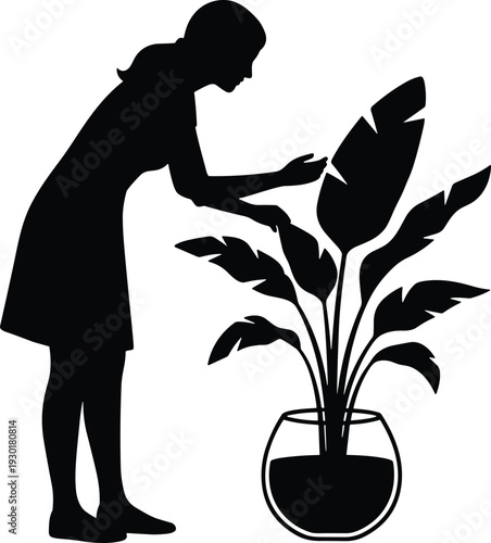 Woman caring for indoor plant silhouette, home gardening and houseplant maintenance concept isolated on white background vector illustration