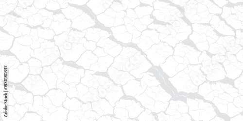 Cracked earth texture background, dry and arid with a web-like pattern of fissures on white.