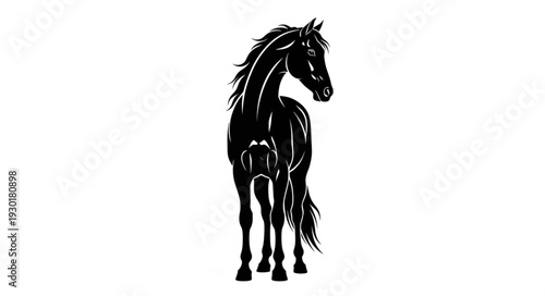 Black Horse Standing Alone Silhouette.