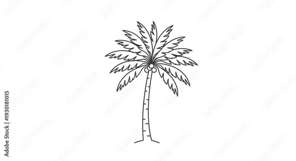 Fototapeta premium Simple Line Drawing of a Coconut Palm Tree with Coconuts