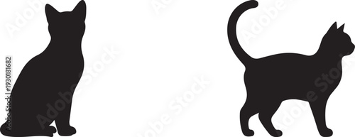 black cat silhouette