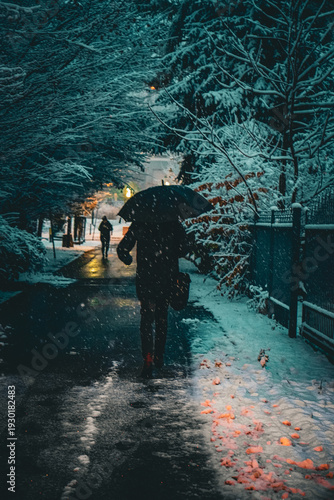 Silhouette of a person walking under an umbrella during snowfall on a snow-covered urban path.
Winter evening atmosphere with illuminated street lights, wet pavement reflections and trees
covered in f