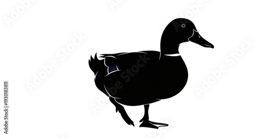 Black Silhouette of a Duck.