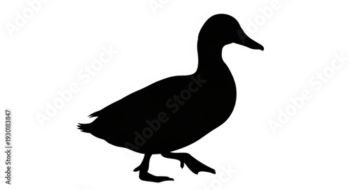 Black Silhouette of a Duck.