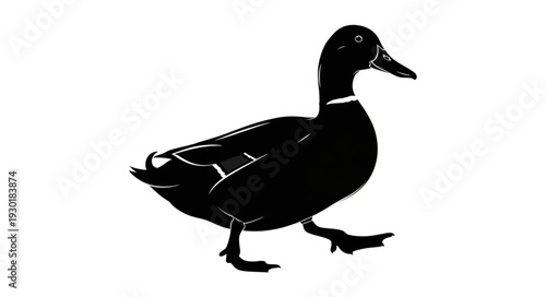 Black Silhouette of a Duck.