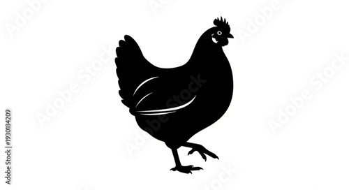 Black Silhouette of a Chicken.