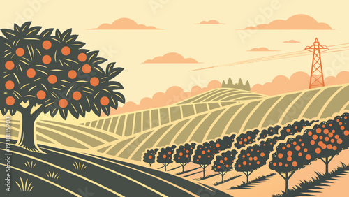 Spanish Citrus Orchard Vector