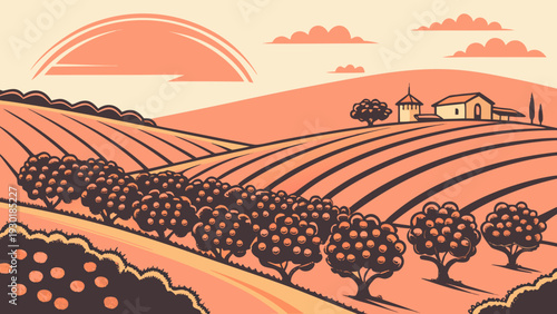Spanish Citrus Orchard Vector