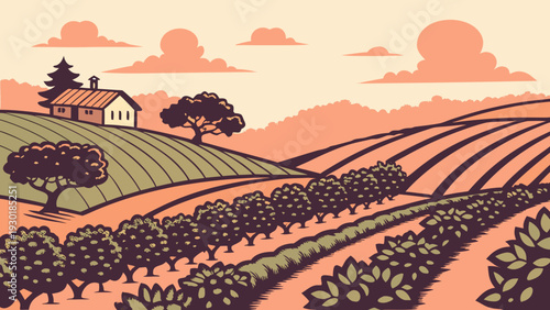 Spanish Citrus Orchard Vector