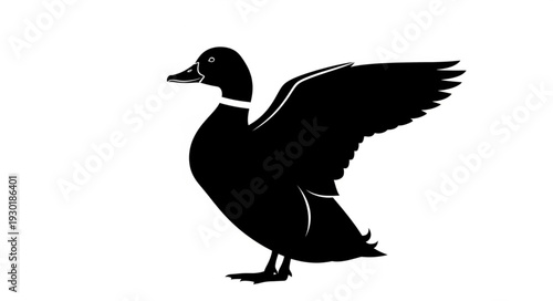 Black Silhouette of a Duck.