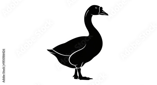 Black Silhouette of a Duck.