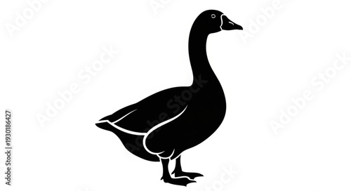Black Silhouette of a Duck.