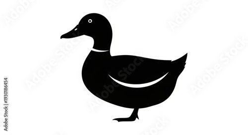 Black Silhouette of a Duck.