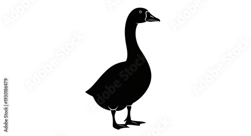 Black Silhouette of a Duck Standing.