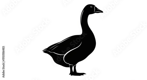 Black Silhouette of a Duck Standing.