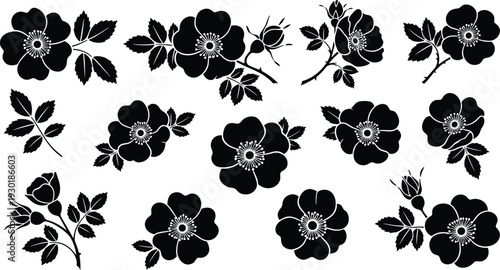 Collection of twelve black wild rose flower silhouettes with blue outlines for botanical patterns and floral branding isolated on white.