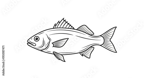 Line Art Fish Illustration - Simple Black and White Drawing of a Fish