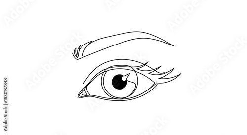 Minimalist Line Art Drawing of a Human Eye and Eyebrow