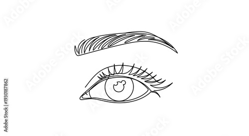 Minimalist Line Art Drawing of a Woman's Eye and Eyebrow with Eyelashes
