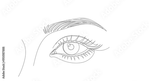 Minimalist Line Art Drawing of a Woman's Eye and Eyebrow with Eyelashes